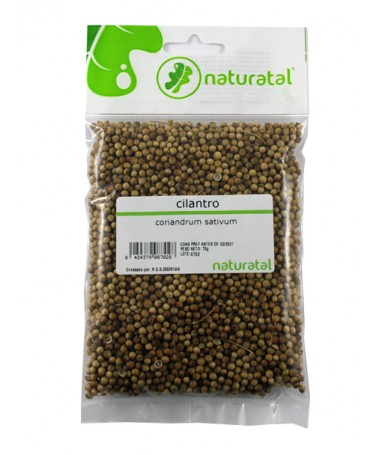 cilantro coriandrum sativum 70gr