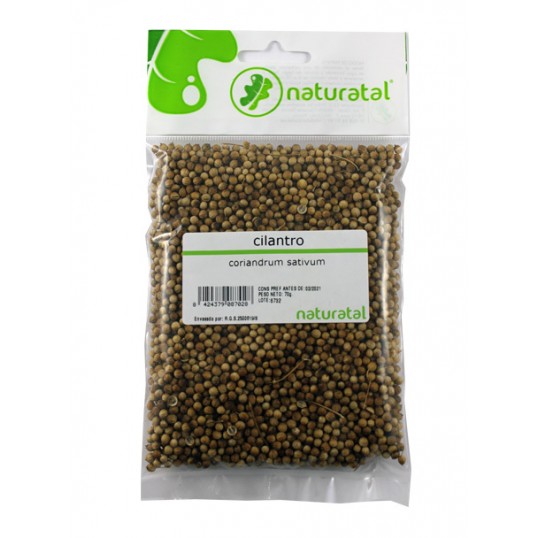 cilantro coriandrum sativum 70gr