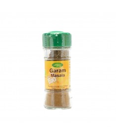 garam masala bio 25 g